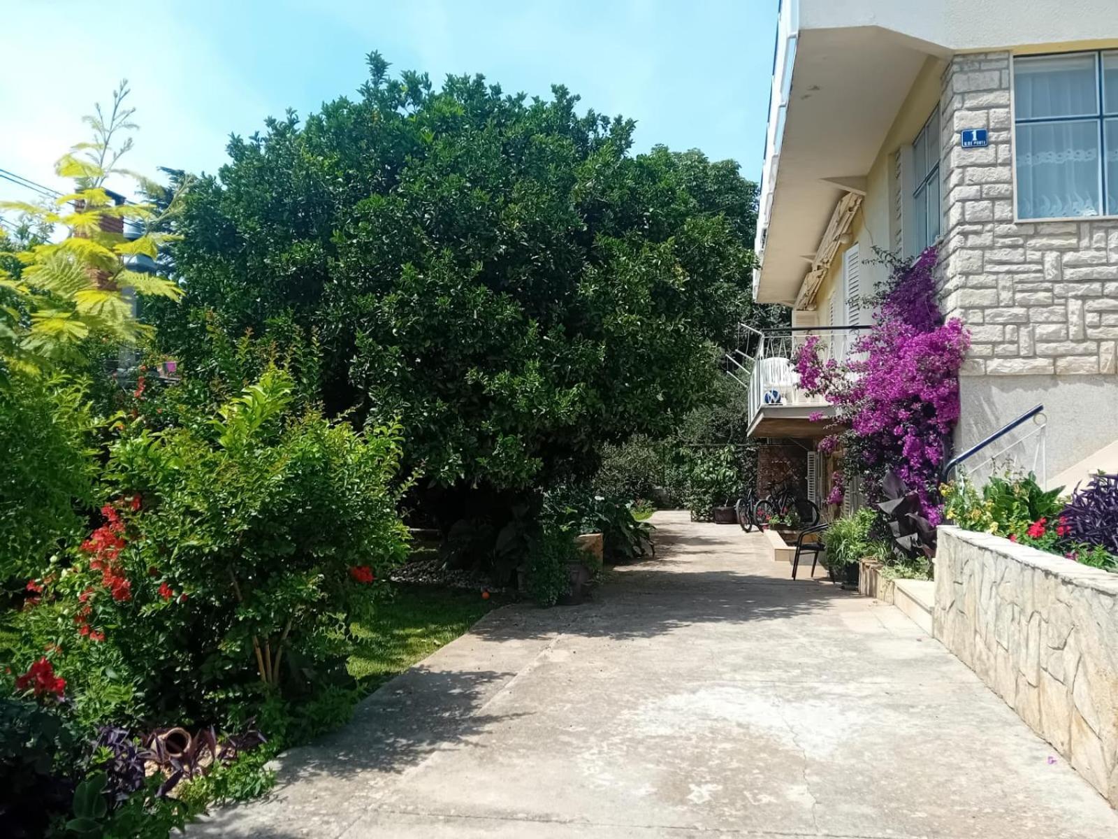 Apartments Angie Zadar Exterior photo